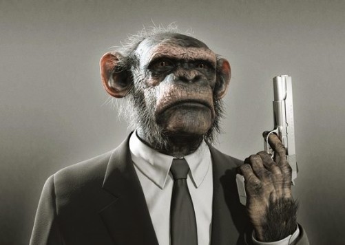 Chimp Gun