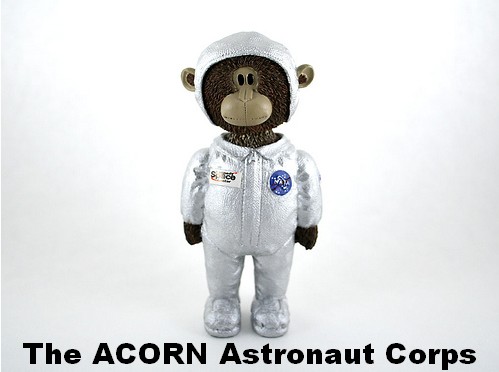 astronaut monkey