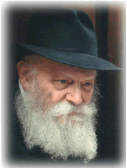 the rebbe schneerson1.gif