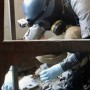 inspectors-collecting-samples-featured
