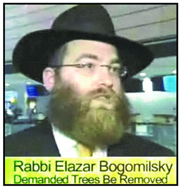 rabbi-bog