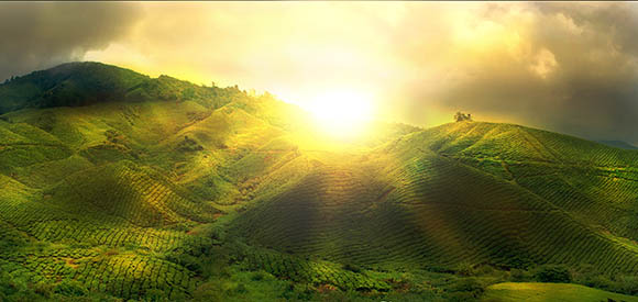 rising-sun-green-hills