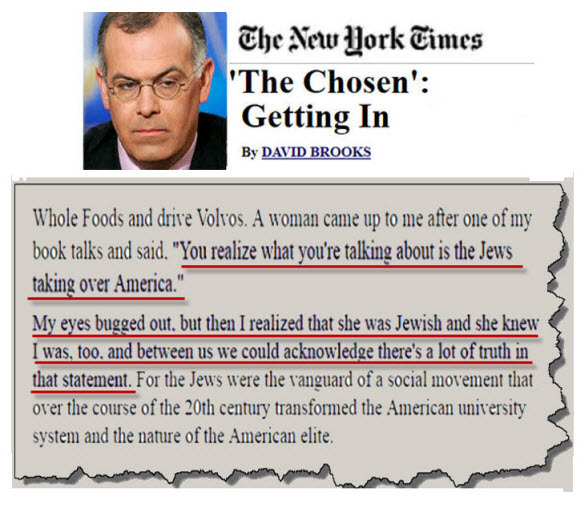 david brooks 3nd NY Times shosen getting in small for internet internet size