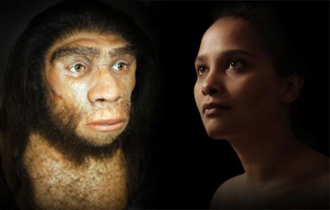 neanderthal-human-dna