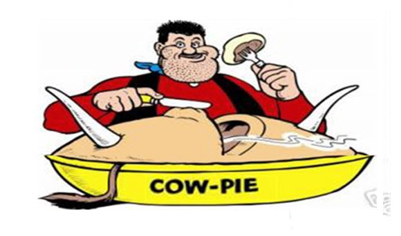 cowpie