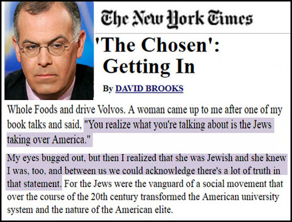 david brooks NY Times shosen getting in small for internet