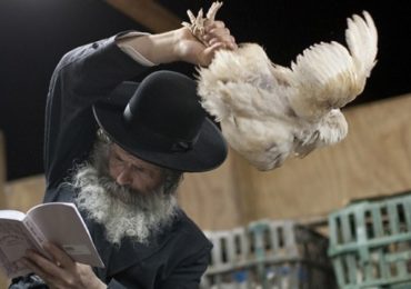 On Yom Kippur, Animal rights activists, chicken swingers brawl: Zio-Watch, September 24, 2015