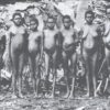 Deletion of Australian Pygmies from history an example of Zio political attack on Whites and on science