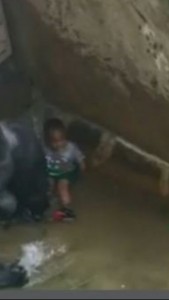 GorillaBlackKid3