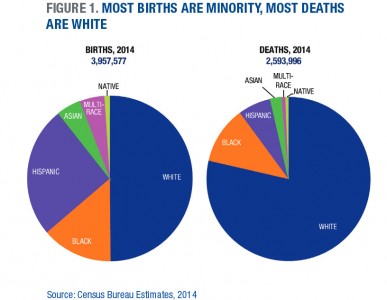 birthdeathpiecharts