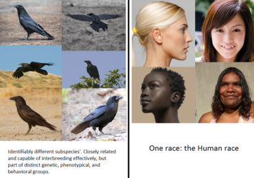 Dr. Duke responds to “The Hill” authors who claim science undermines his views on race