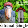 They all have to go back! National Bugle Radio with Patrick Slattery 6.20.18