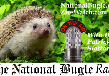 National Bugle Radio with Patrick Slattery and Tom Kawczynski, 5.24.18