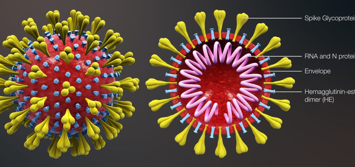 Dr Duke & Andy Hitchcock – Special Show on Novel Strategies to Protect Yourself from Coronavirus that the Media Ignores!