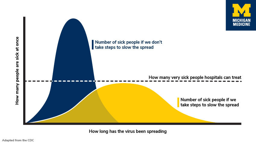 Dr Duke & Eric Striker discuss the origins of the coronavirus lockdown and the responses to it